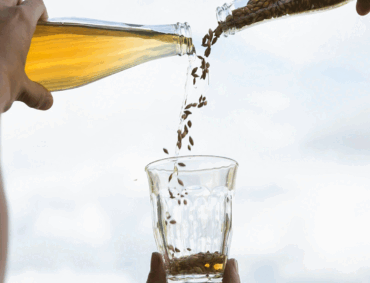 fermentering fermentering