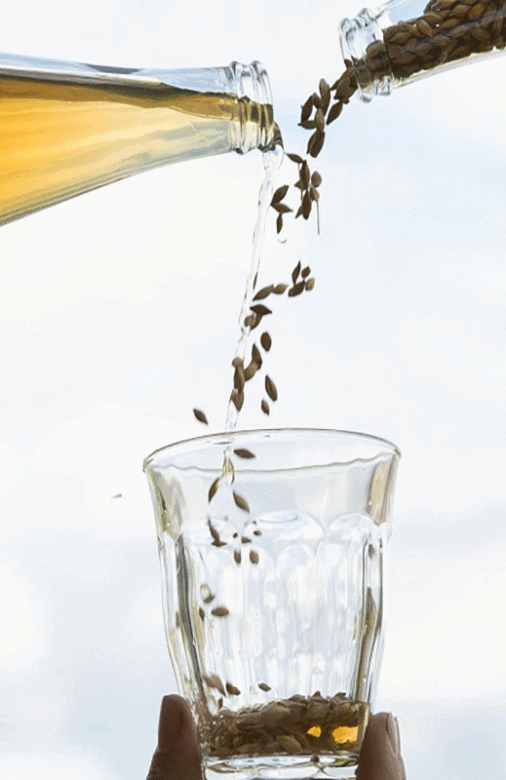 fermentering fermentering